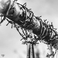 Barbed Wire