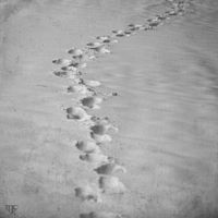 footprints